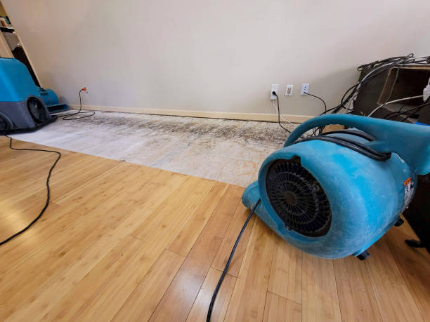 Reliable Basement Flood Cleanup contractor in Nottingham, PA by Hirex Water Damage