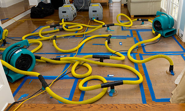 Professional Basement Flood Cleanup technician working in Nottingham, PA